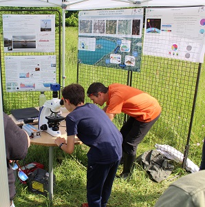 Animation scientifique