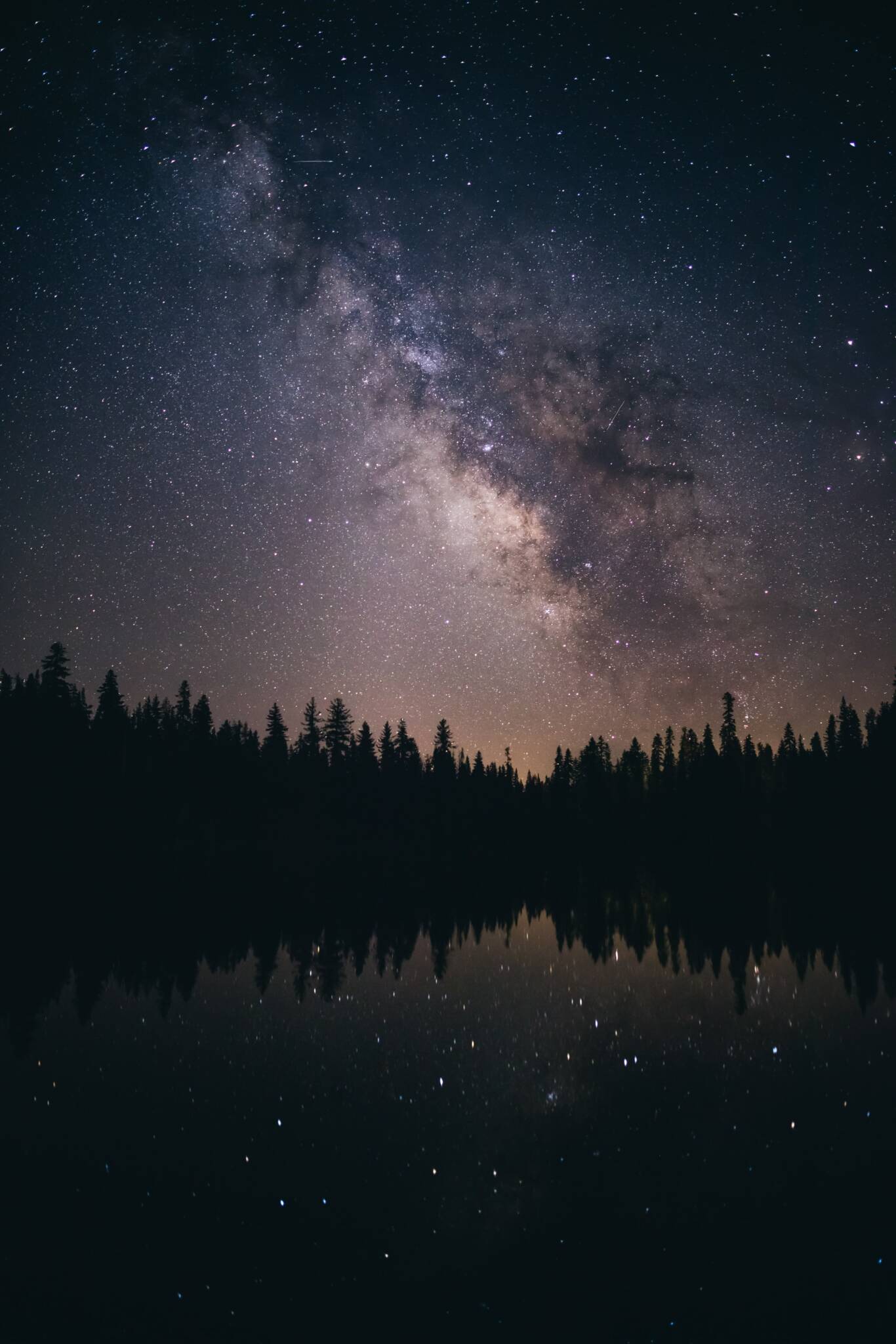 ciel étoilé forêt lac