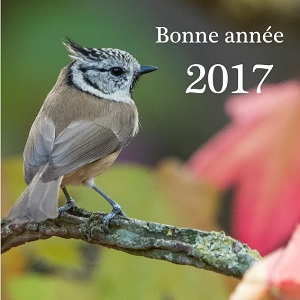 Bonne année 2017 !