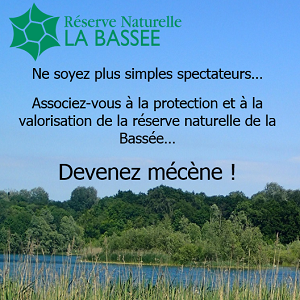 Lancement d'un financement participatif