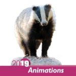 Programme animations 2019_1