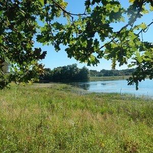 Vue sur le sentier