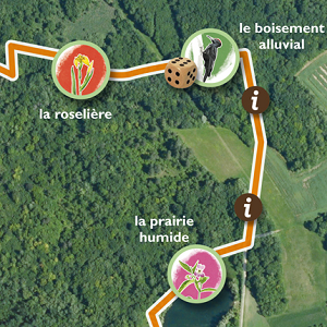 Extrait du chemin sentier