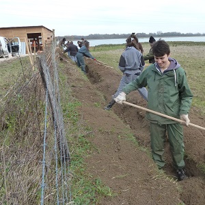 Chantier bénévole de plantation d'une haie